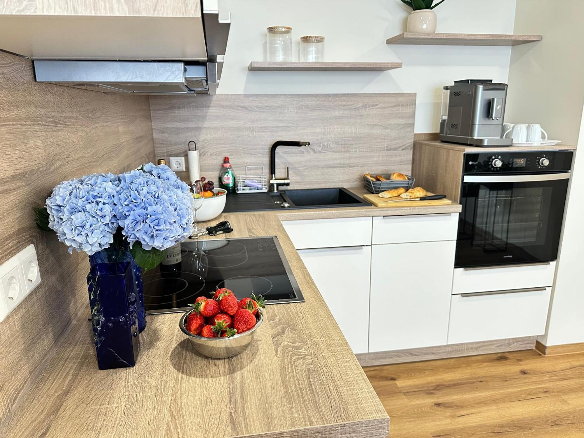 Wilhelmsapartment 腓特烈港 外观 照片